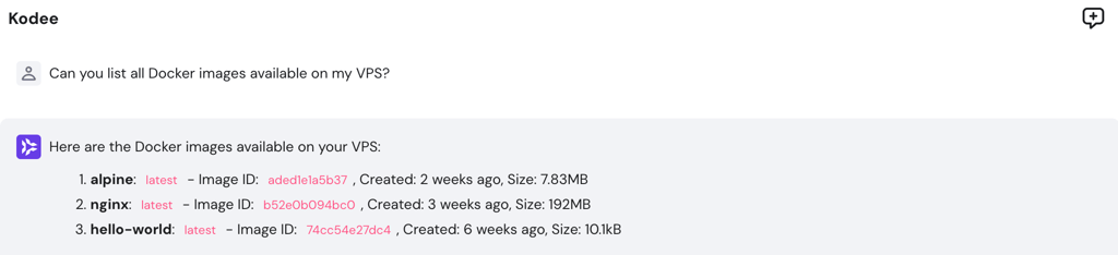 Kodee responds to a question about listing Docker images on the VPS