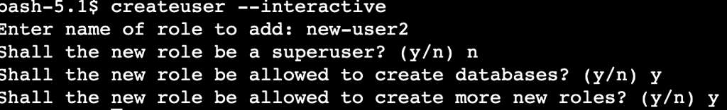 PostgreSQL interactive role creation