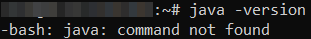 A command to check the Java version in a command prompt. In this case, Java was not installed on the VPS