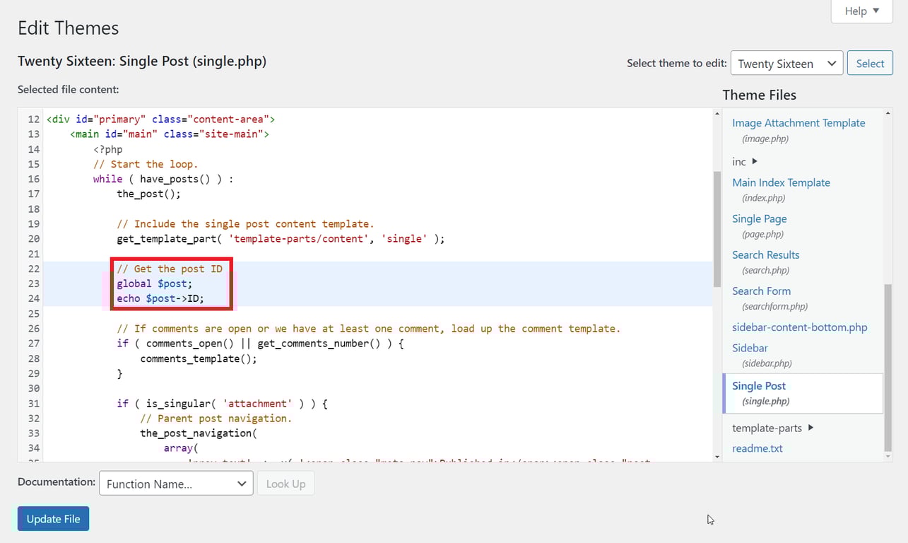 WordPress Theme Editor, highlighting code snippets.