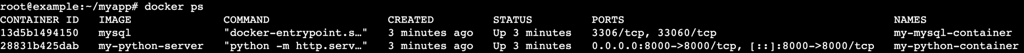 A terminal output after running the docker ps command