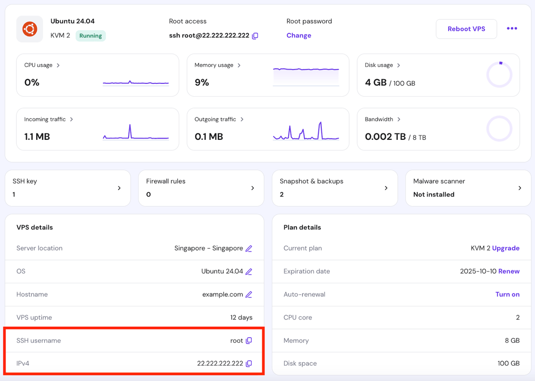 SSH access credentials on hPanel's VPS overview page