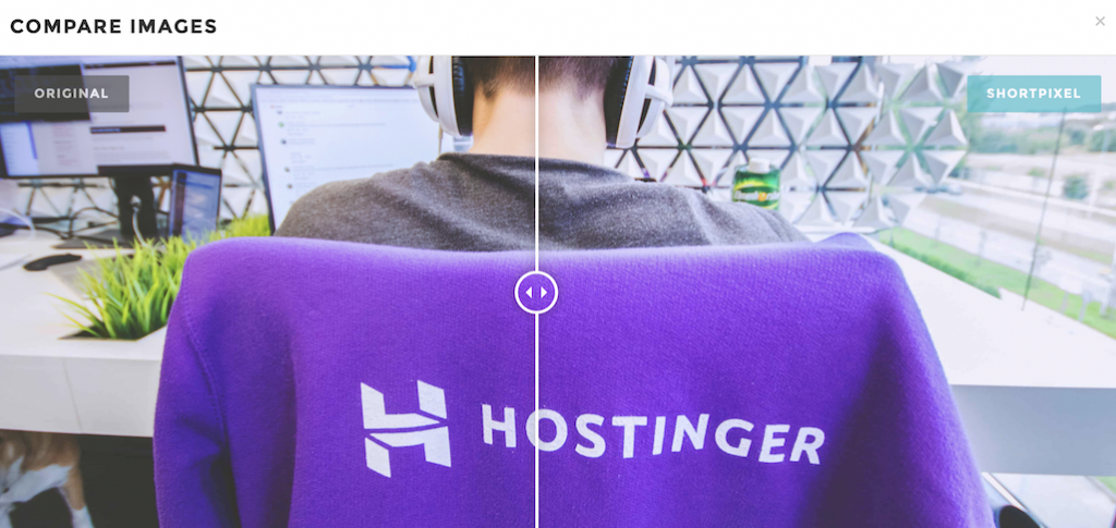 Before and after example of lossy image compression