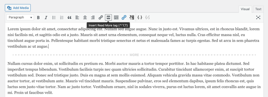 Inserting a Read More tag into a WordPress post.