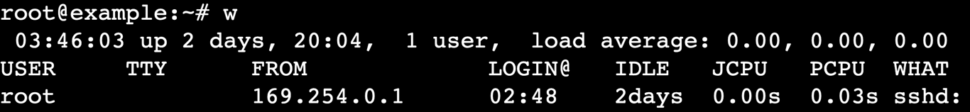 Terminal showing w command output with user and process details