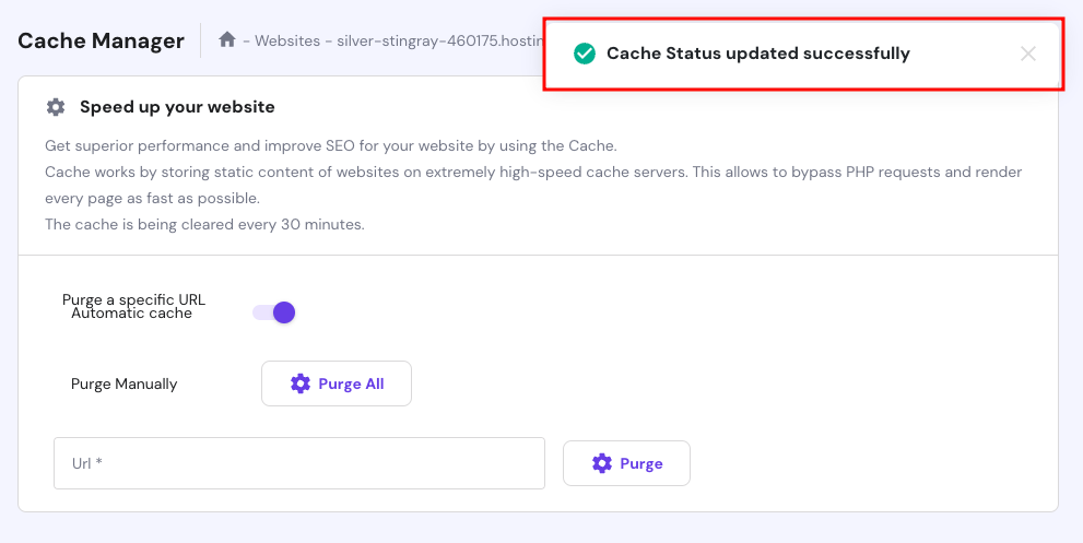 Hostinger hPanel cache manager automatic cache success message
