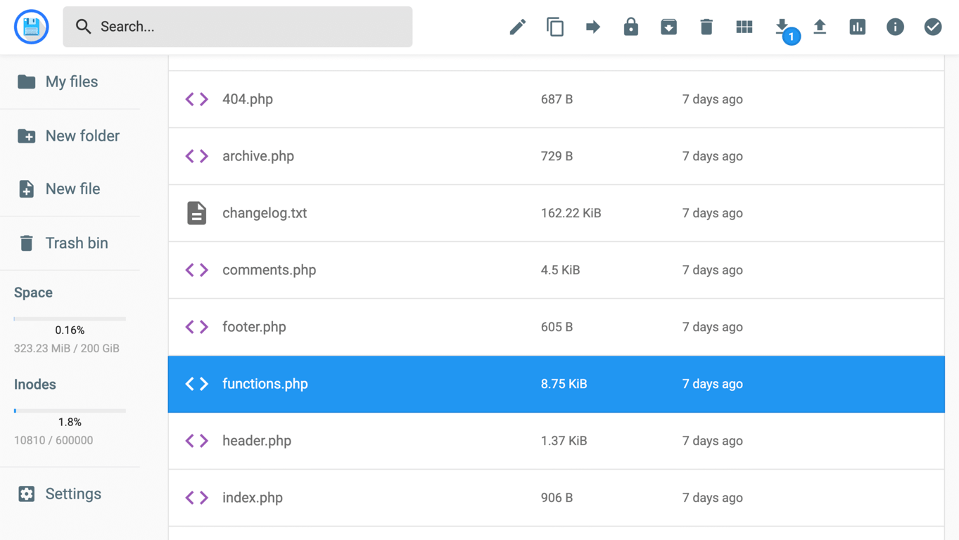 Hostinger File Manager with functions.php selected inside theme folder