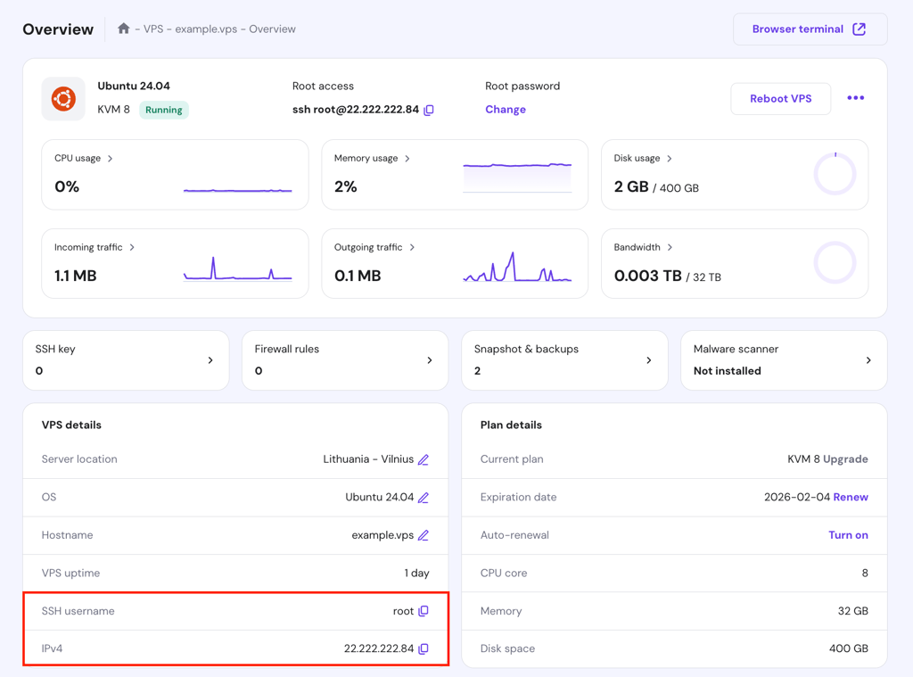 The VPS Overview page in hPanel