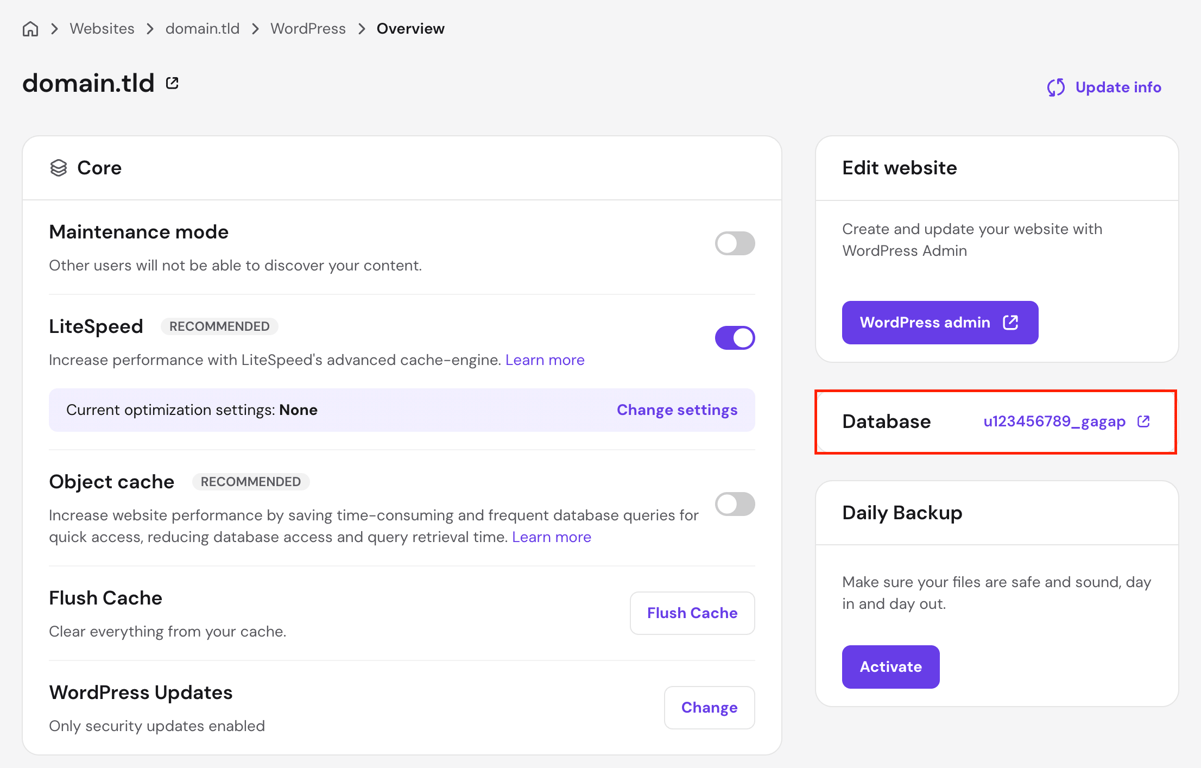 The Database section in the WordPress Overview page of hPanel