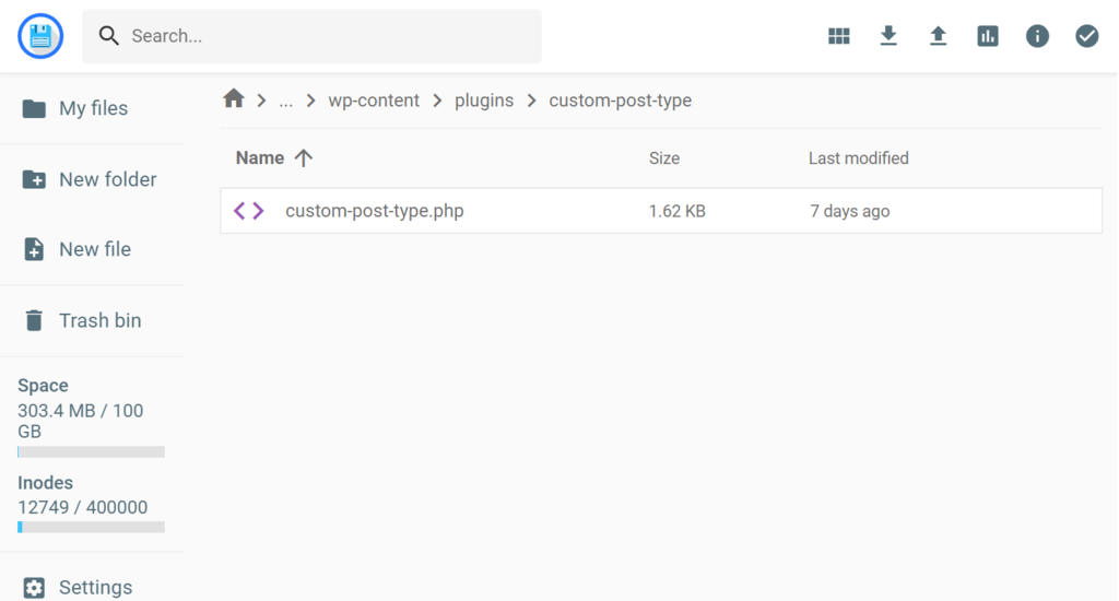 The custom plugin php file inside the website's plugin folder