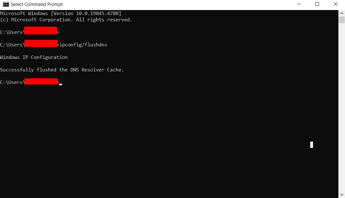 Windows Command Prompt showing a successful DNS cache flush