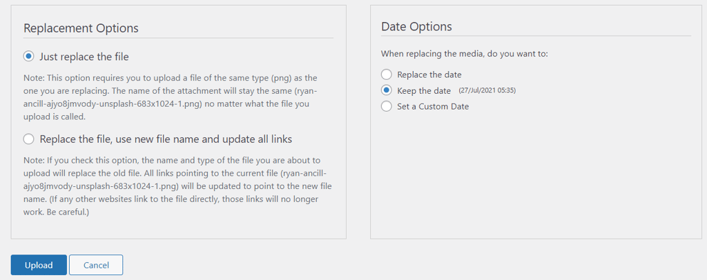 Replacement options window.