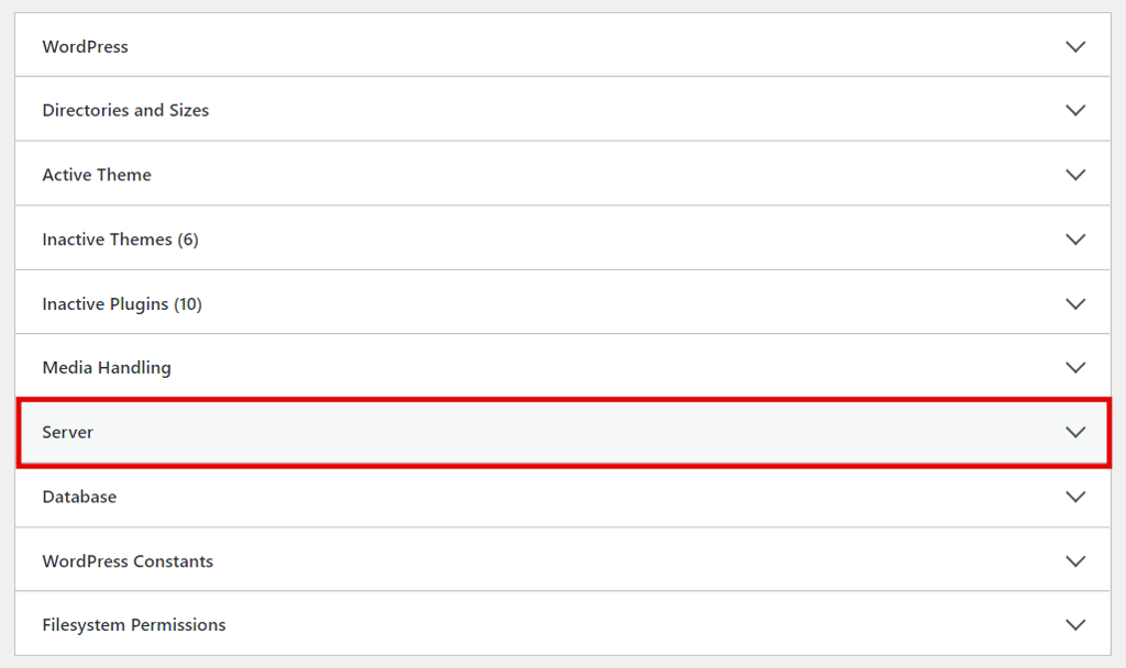 Choosing the info tab and clicking on Server.