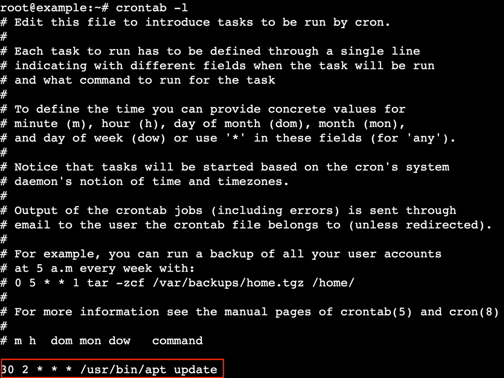 Terminal showing crontab -l output with a scheduled apt update