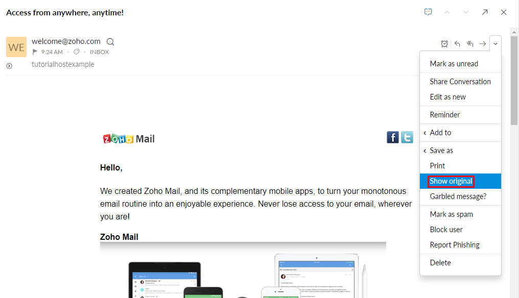 Zoho Mail, highlighting Show original.