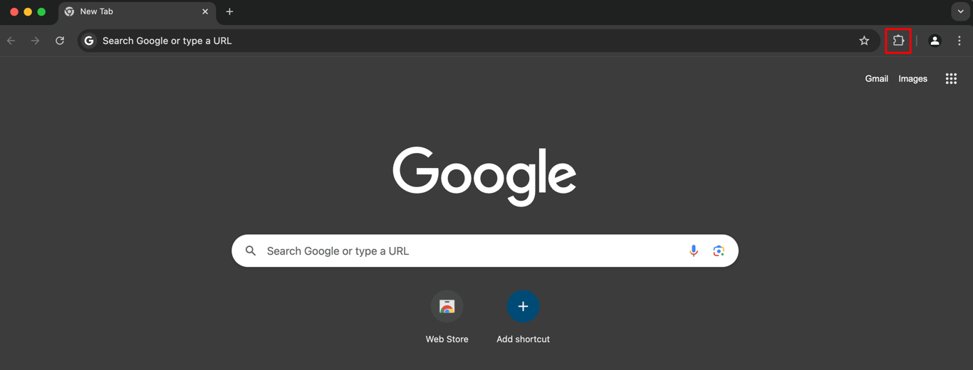 Google homepage, highlighting the Extensions icon in the Chrome menu bar