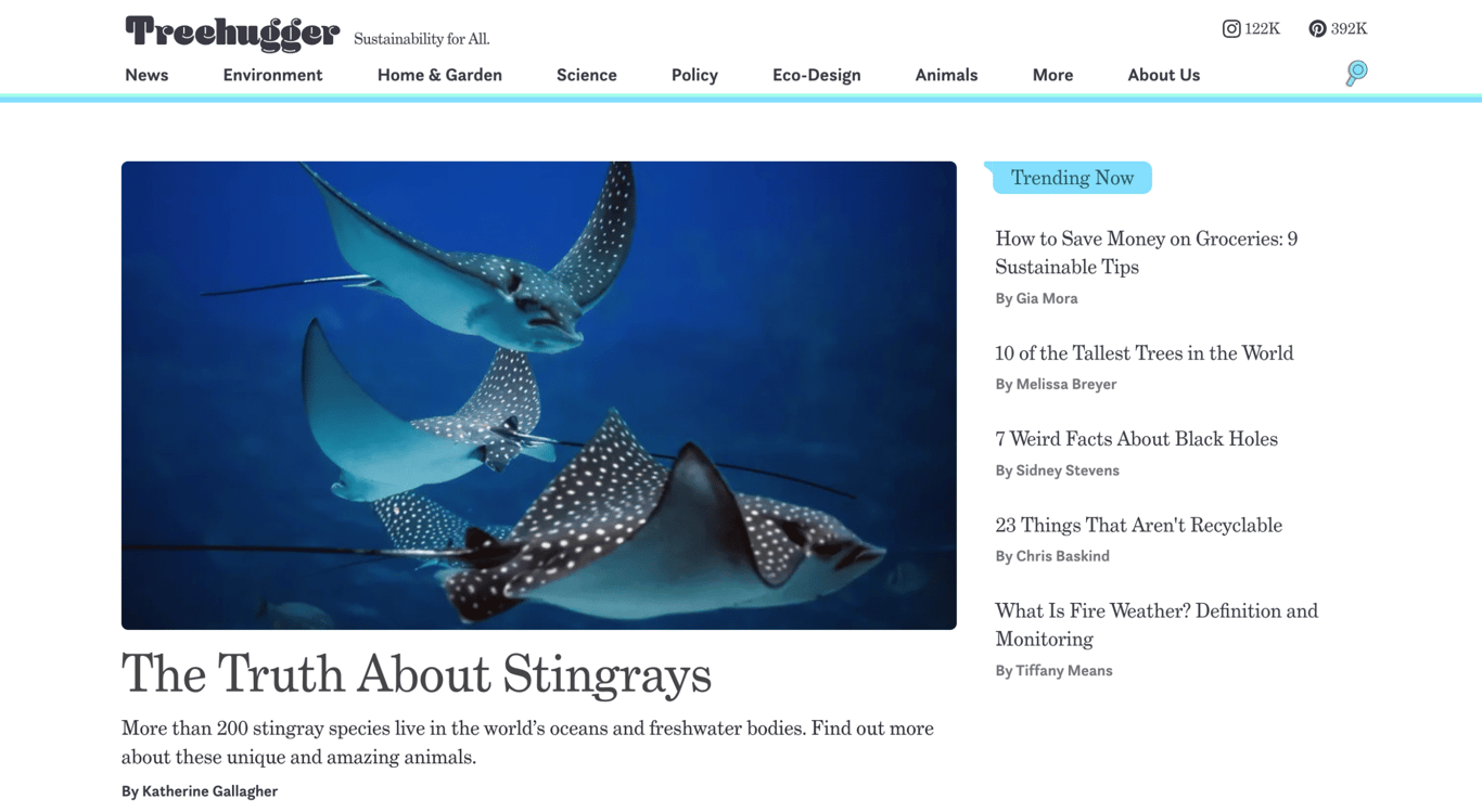 The Treehugger blog homepage