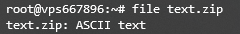 The Linux file command on Terminal, displaying the correct file type