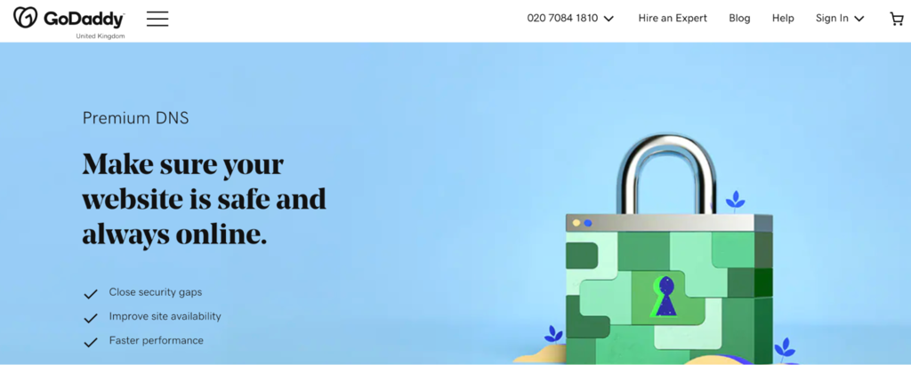 GoDaddy's premium DNS page.