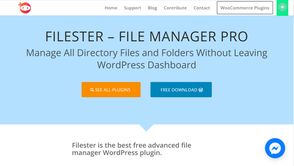 a screenshot of the fliester's official website