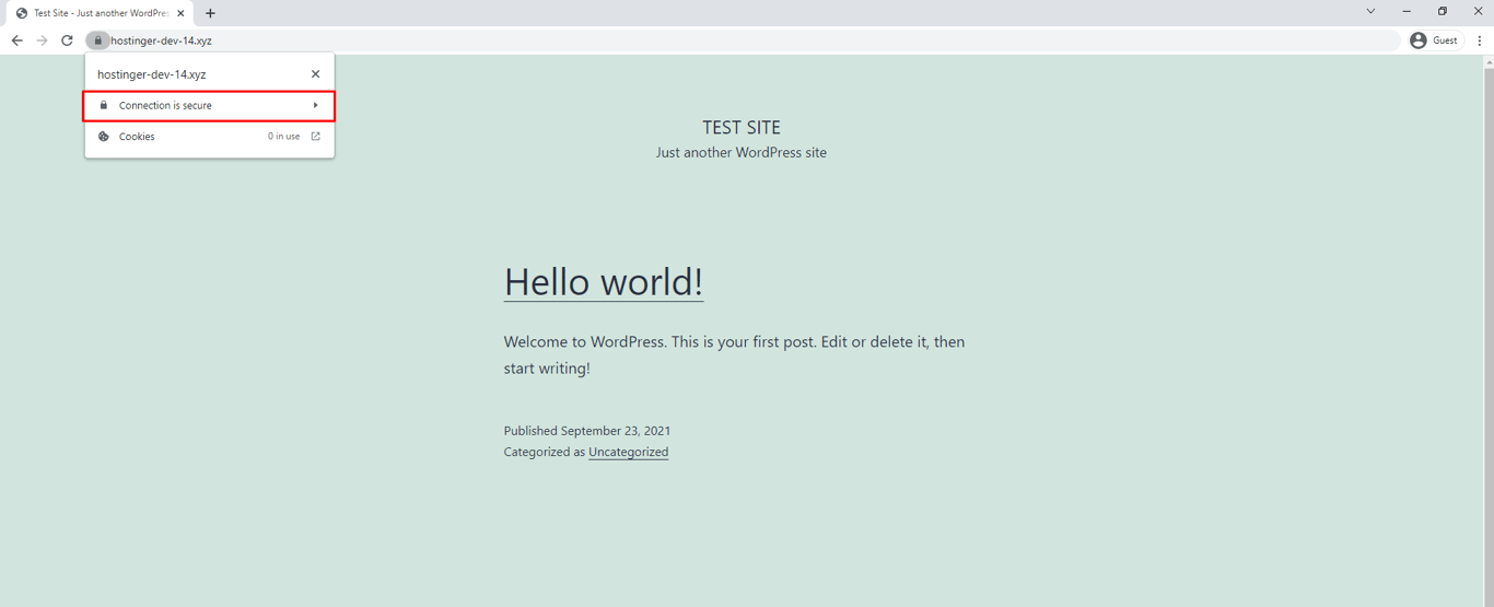 The padlock icon at the top right of the browser bar showing the "Connection is secure" notification on Google Chrome
