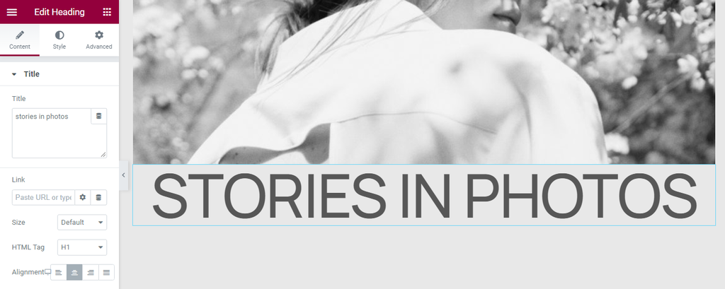 Elementor's elements