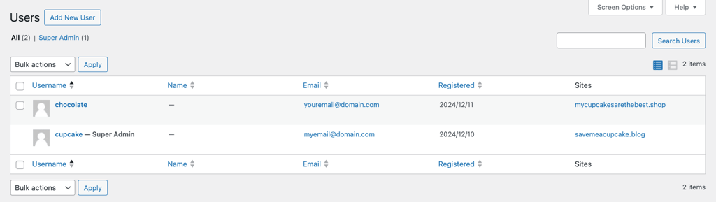 List of existing users displayed in WordPress Multisite dashboard