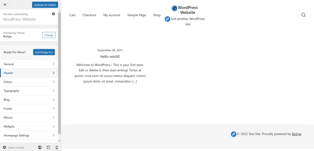 WordPress Theme Customizer containing a theme's design features on the left sidebar and a preview of the website on the right side