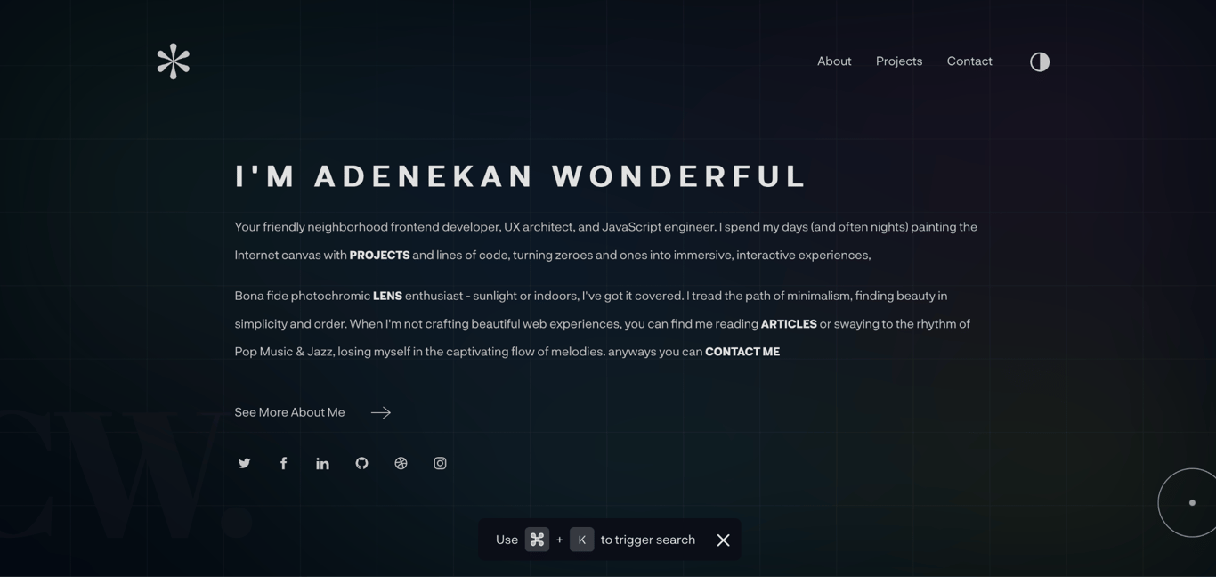 Adenekan Wonderful portfolio page