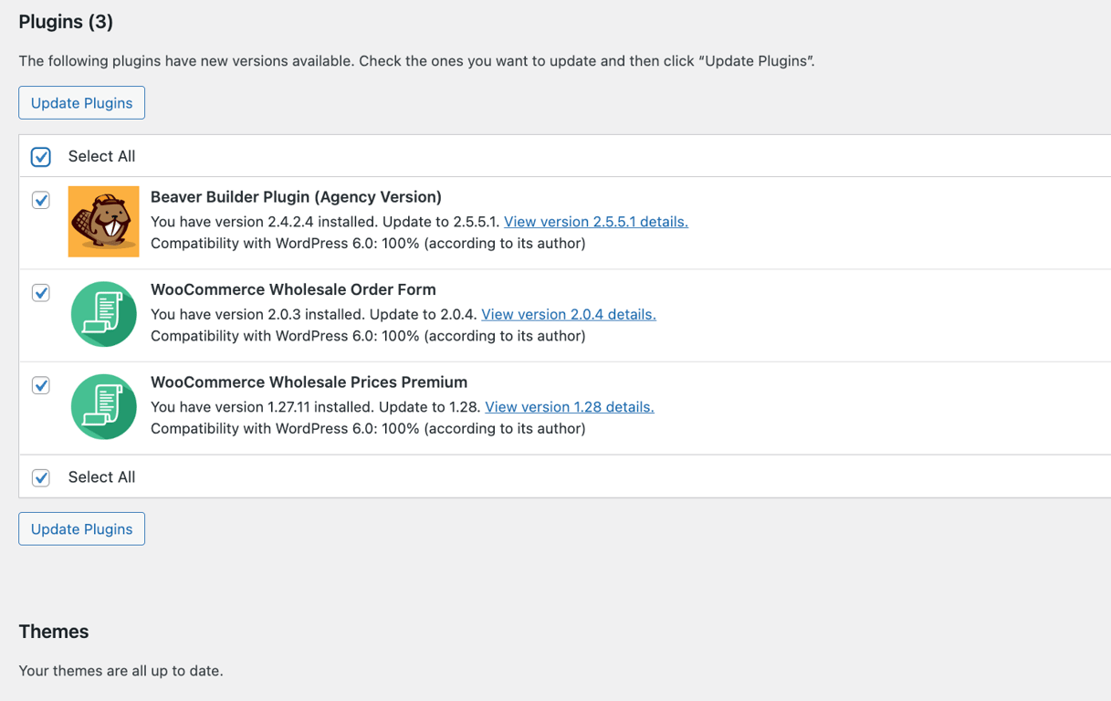Updating WordPress plugins and themes
