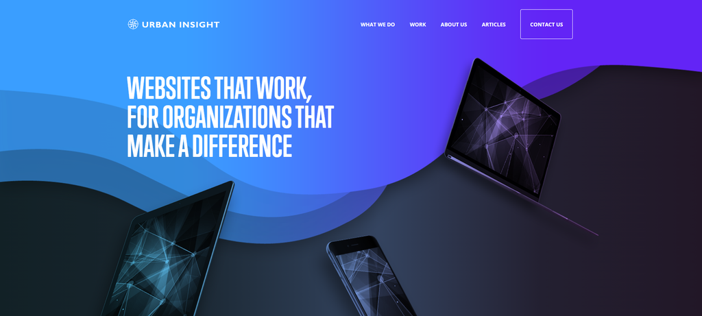 Urban Insight's website