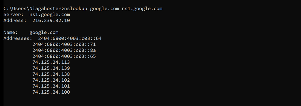 Nslookup displays an authoritative answer.
