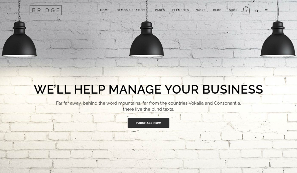 Il tema Bridge include oltre 600 demo di siti web per diverse nicchie di mercato