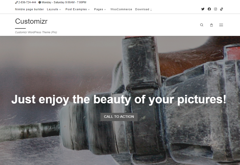 Customizr is a free business theme with excellent performance