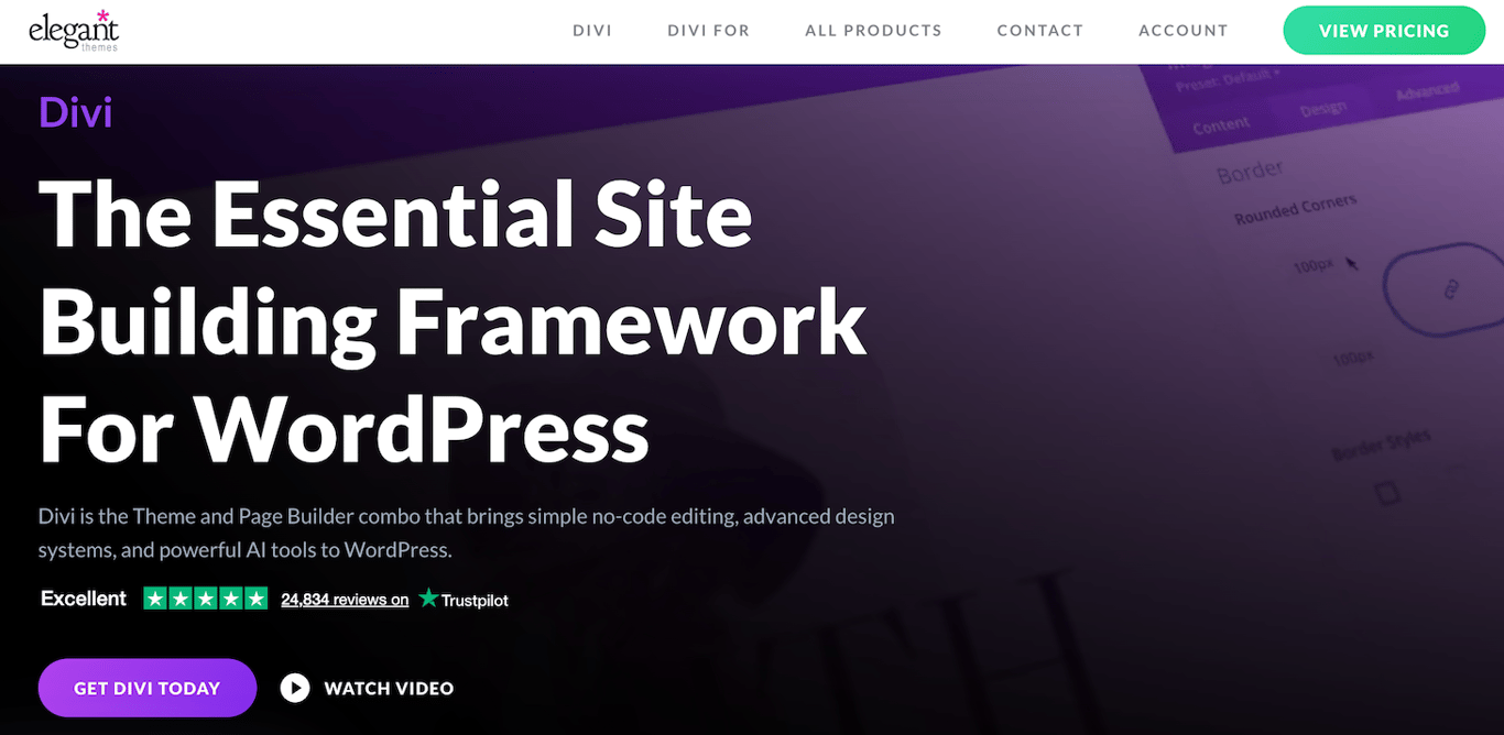 Elegant Theme's Divi website landing page