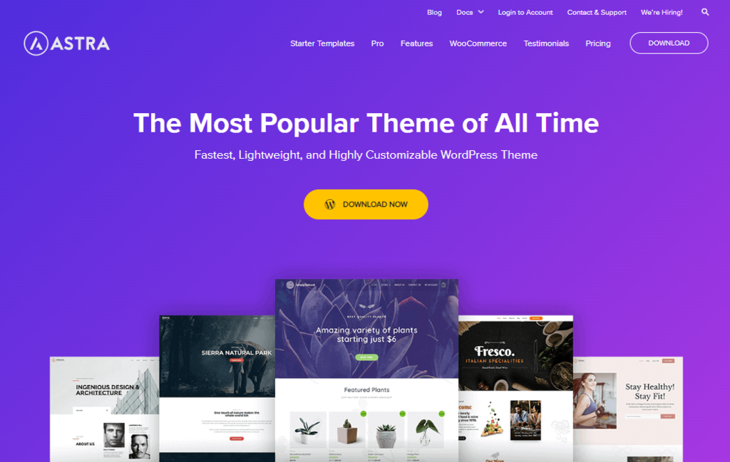 Astra theme homepage