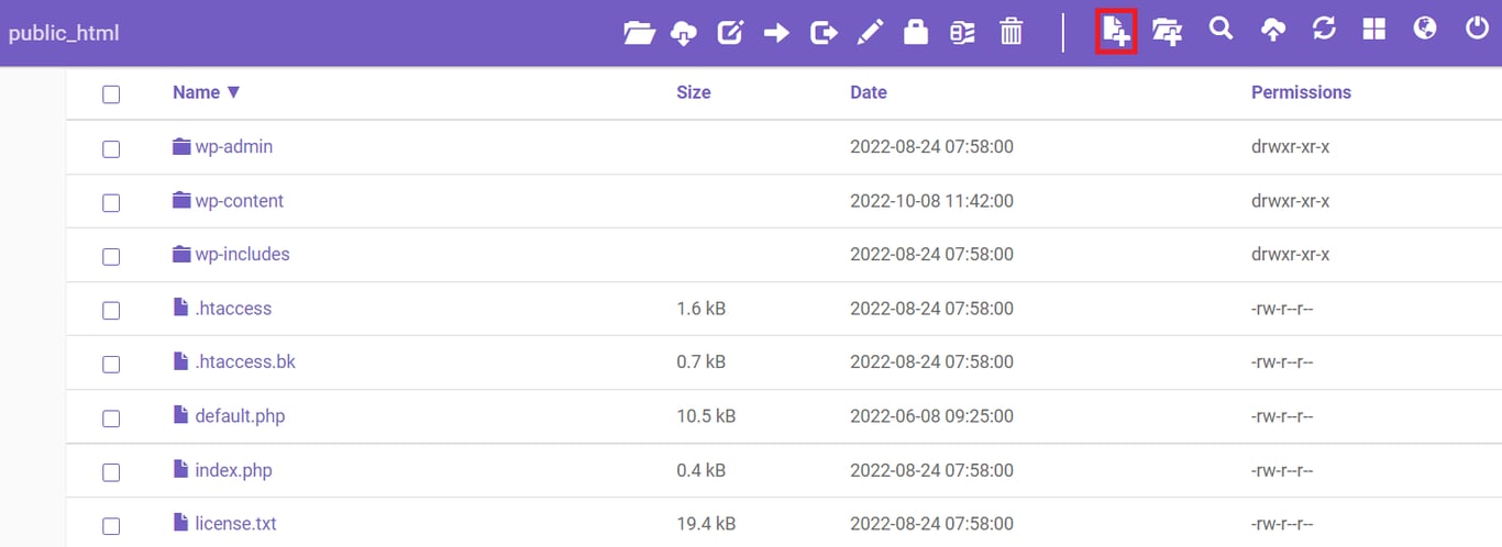 New file button on Hostinger File Manager