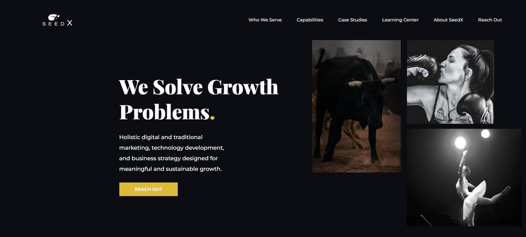 SeedX's website