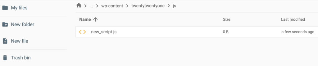 Newly created .js file in the theme's folder
