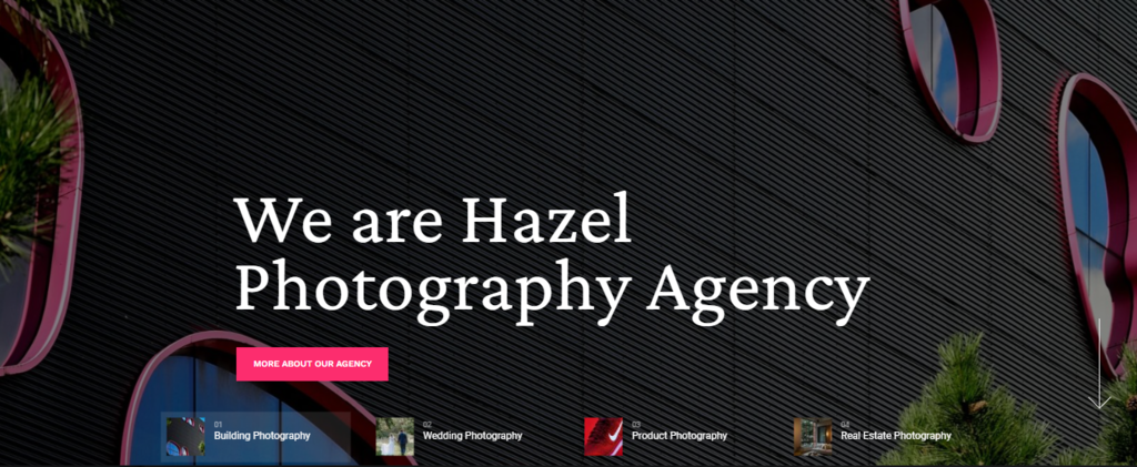 Th&egrave;me WordPress Hazel pour photographe