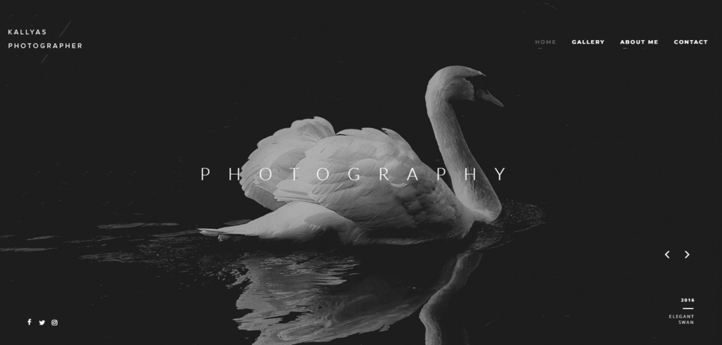 Kallyas th&egrave;me WordPress pour photographe