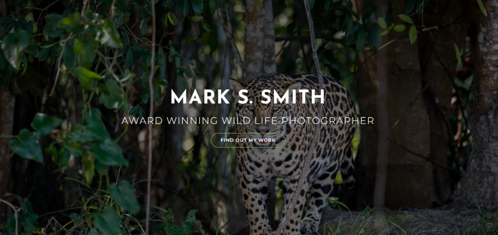OceanWP, un th&egrave;me WordPress de photographe