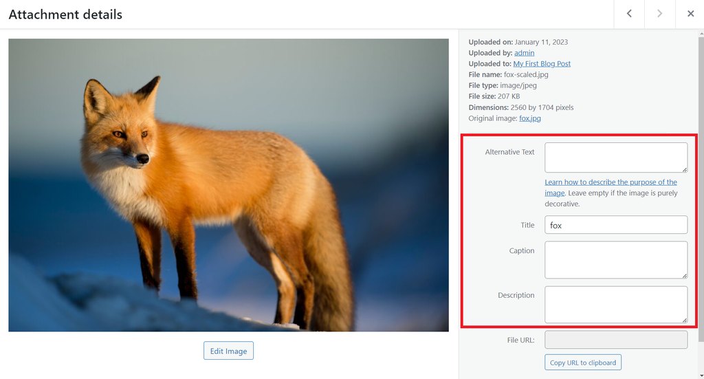 The Attachment details window highlighting the image details options