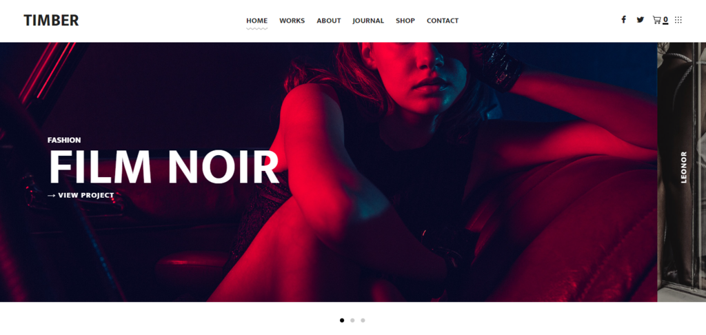 Th&egrave;me WordPress Timber pour photographe