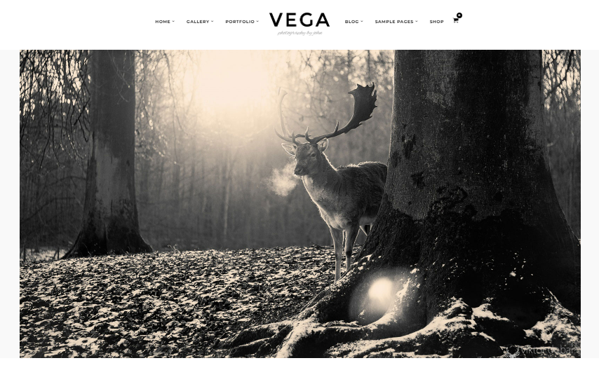 Th&egrave;me WordPress Vega pour photographe