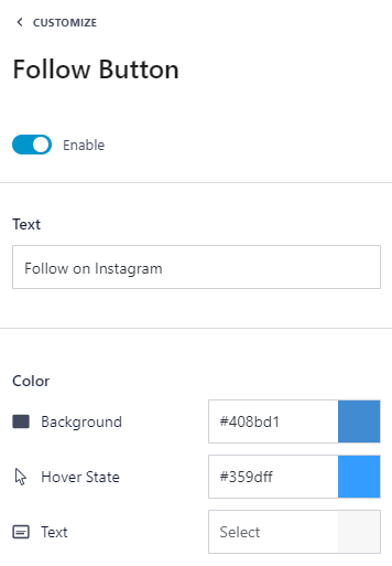 Smash Balloon's Follow Button option