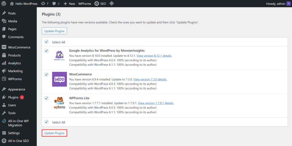 The Updates section on the WordPress admin dashboard