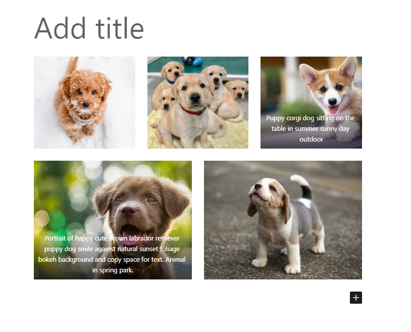 The Gallery block on a WordPress post.