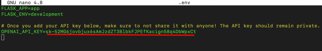 A screenshot of code in a command line application