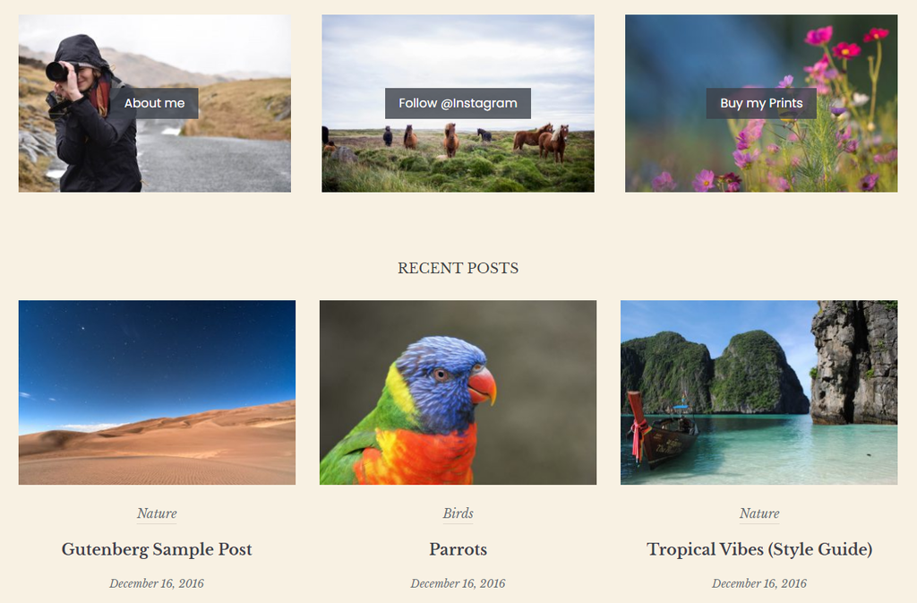 The Eclipse theme's demo site showing the Recent Posts section